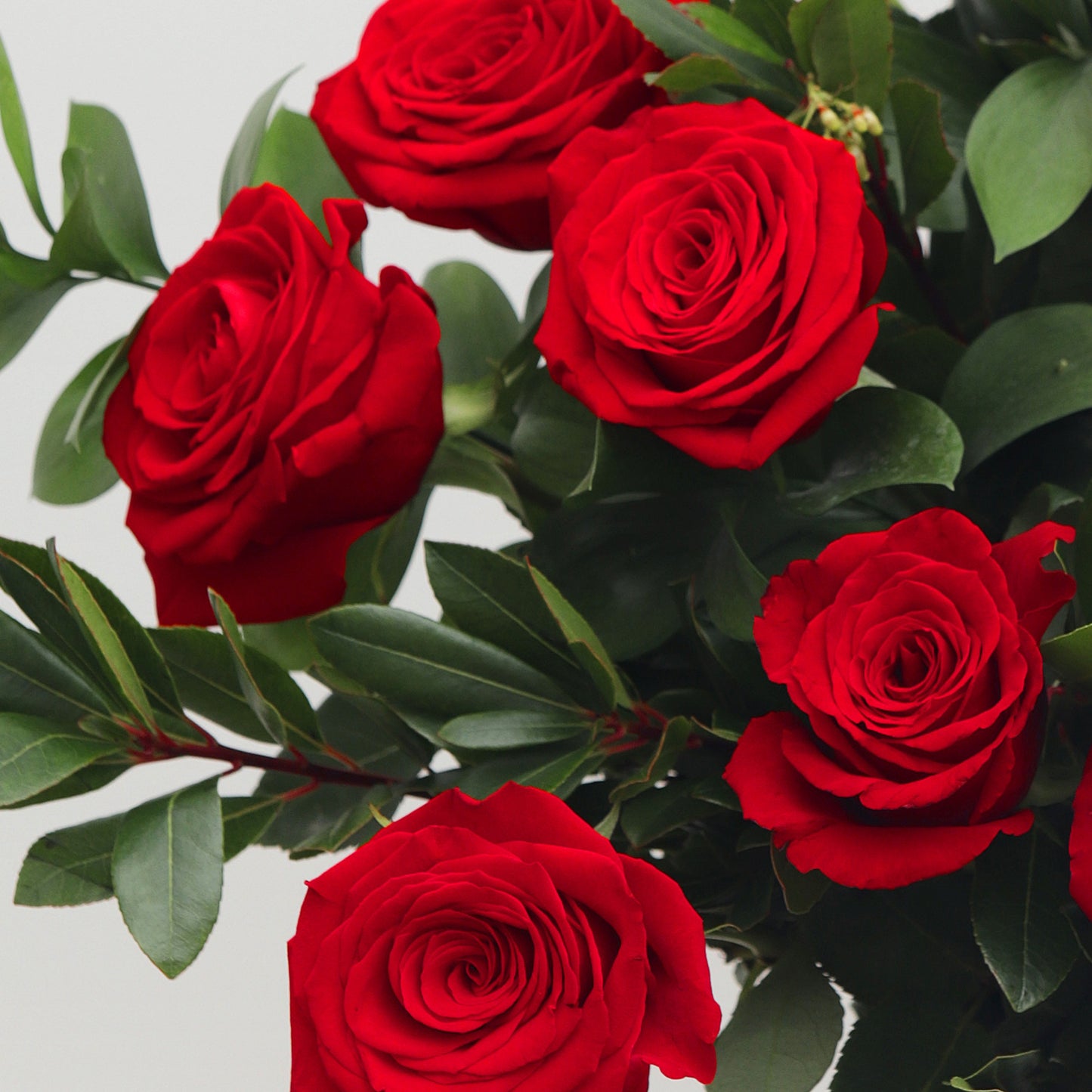 Ramo de rosas rojas