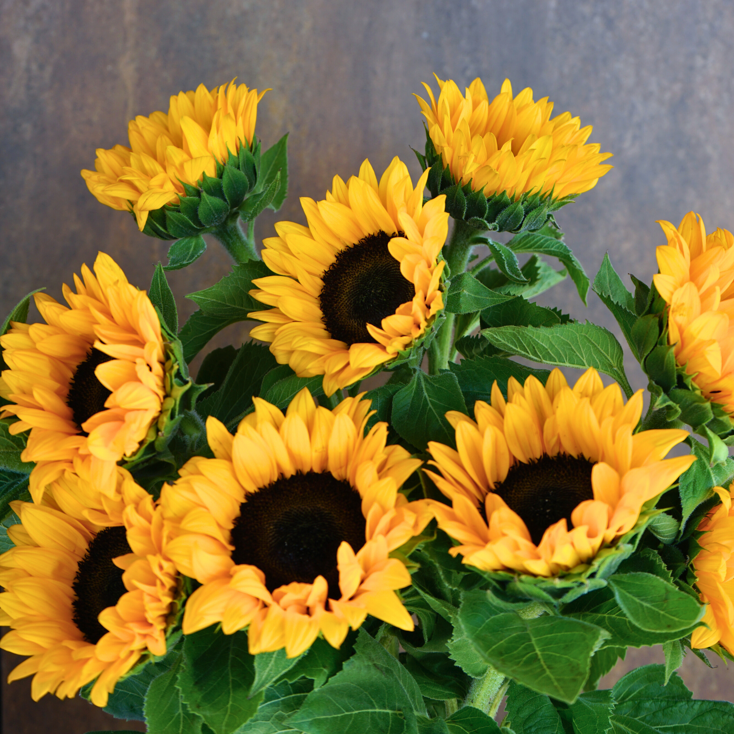 Ramo girasoles
