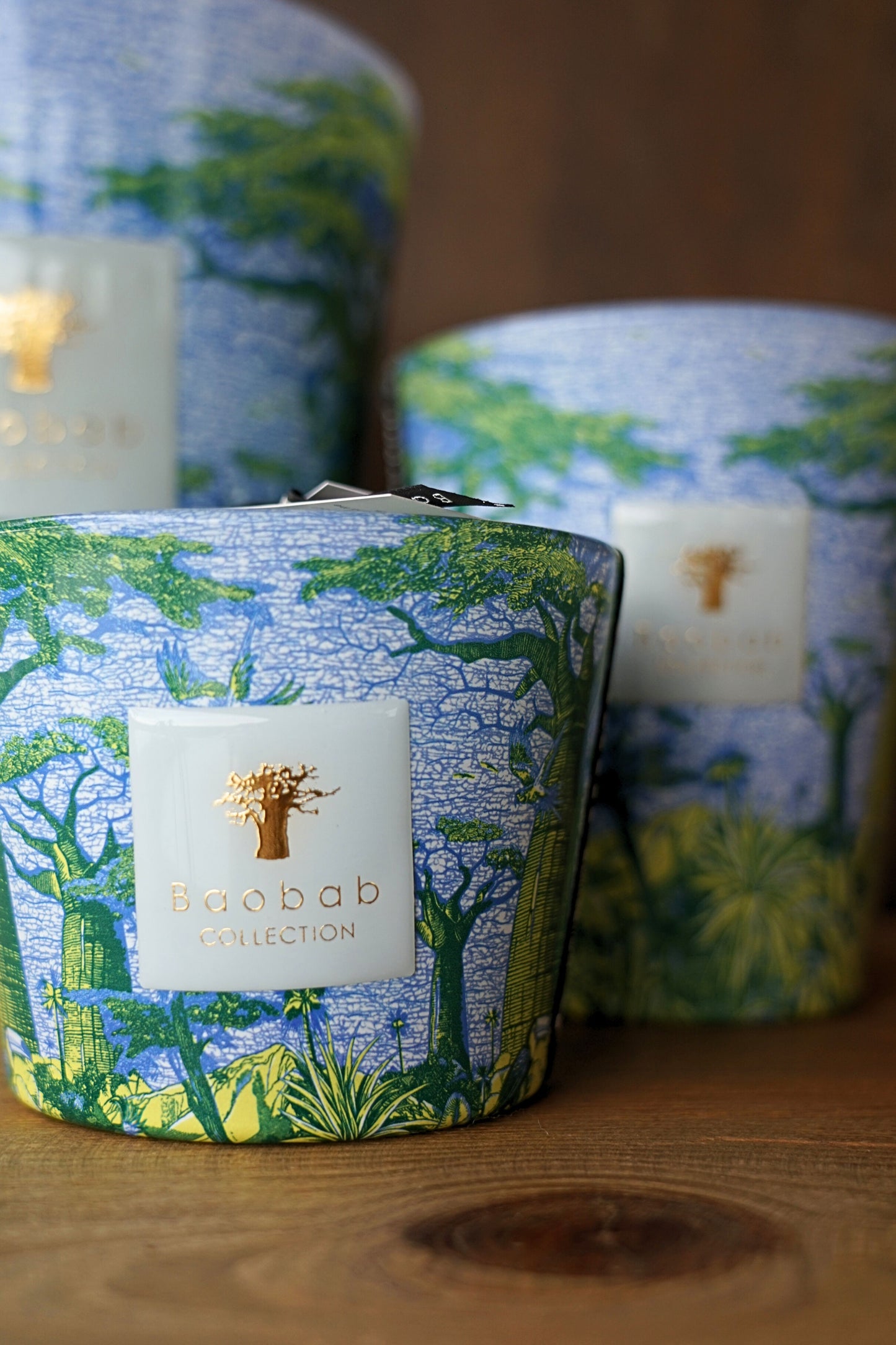 Baobab Sacred Trees Yarani