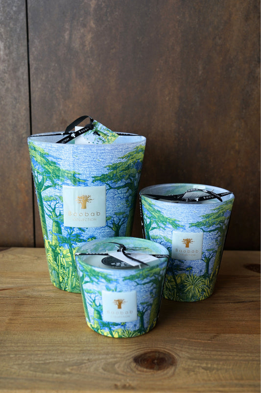 Baobab Sacred Trees Yarani