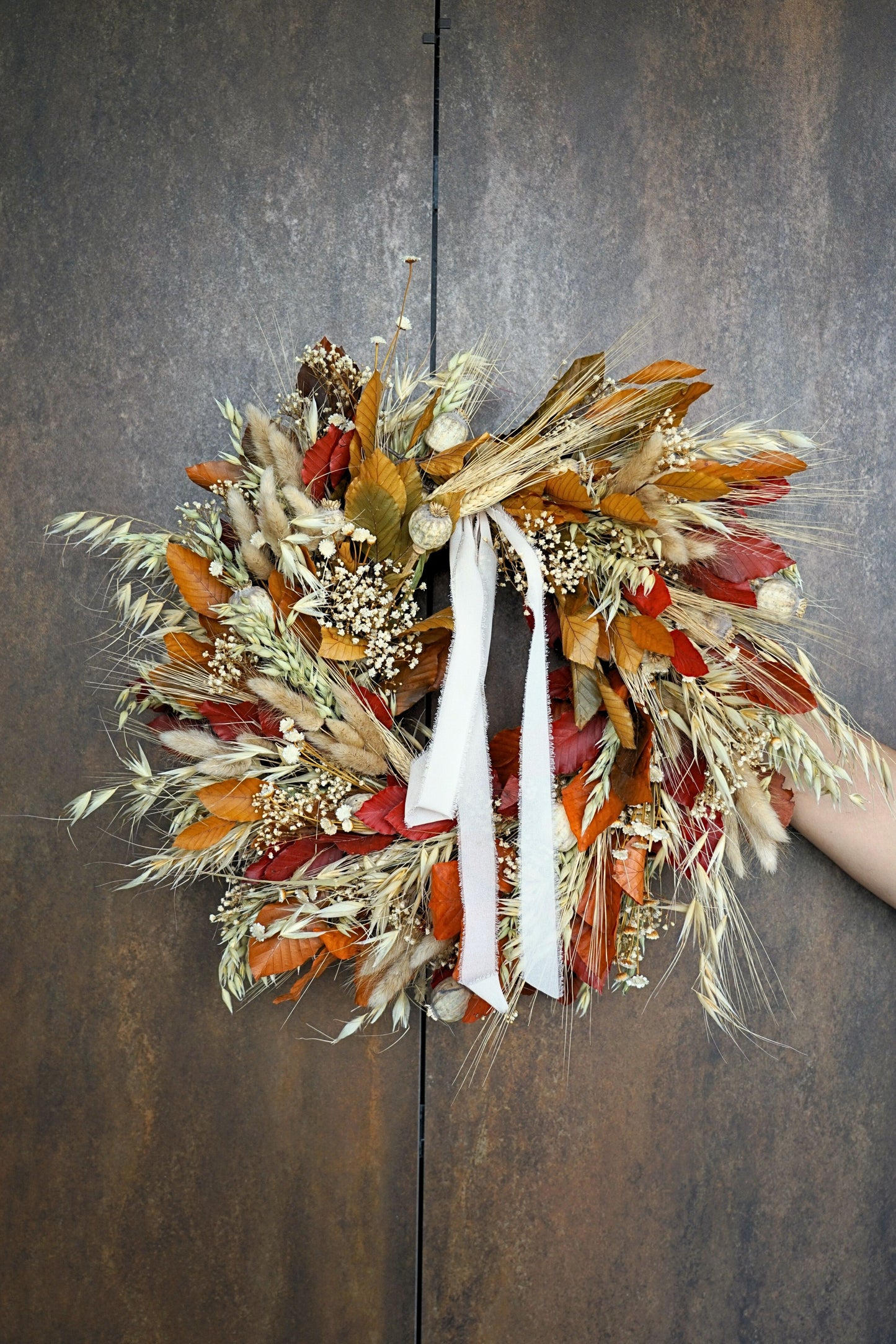 Corona preservado tonos cálidos