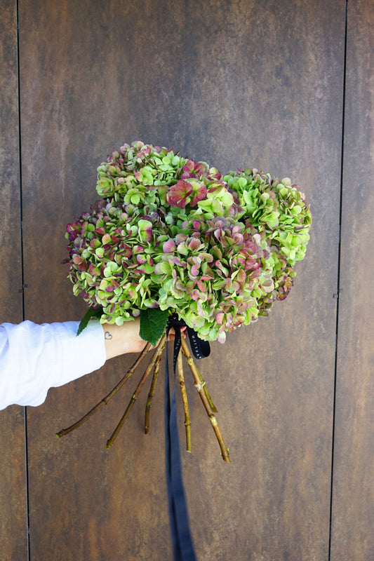Ramo de hortensias